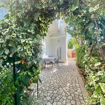 Apartmán Franciska *