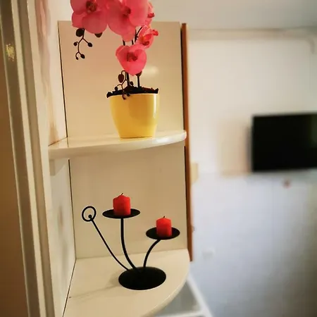Apartment Franciska *